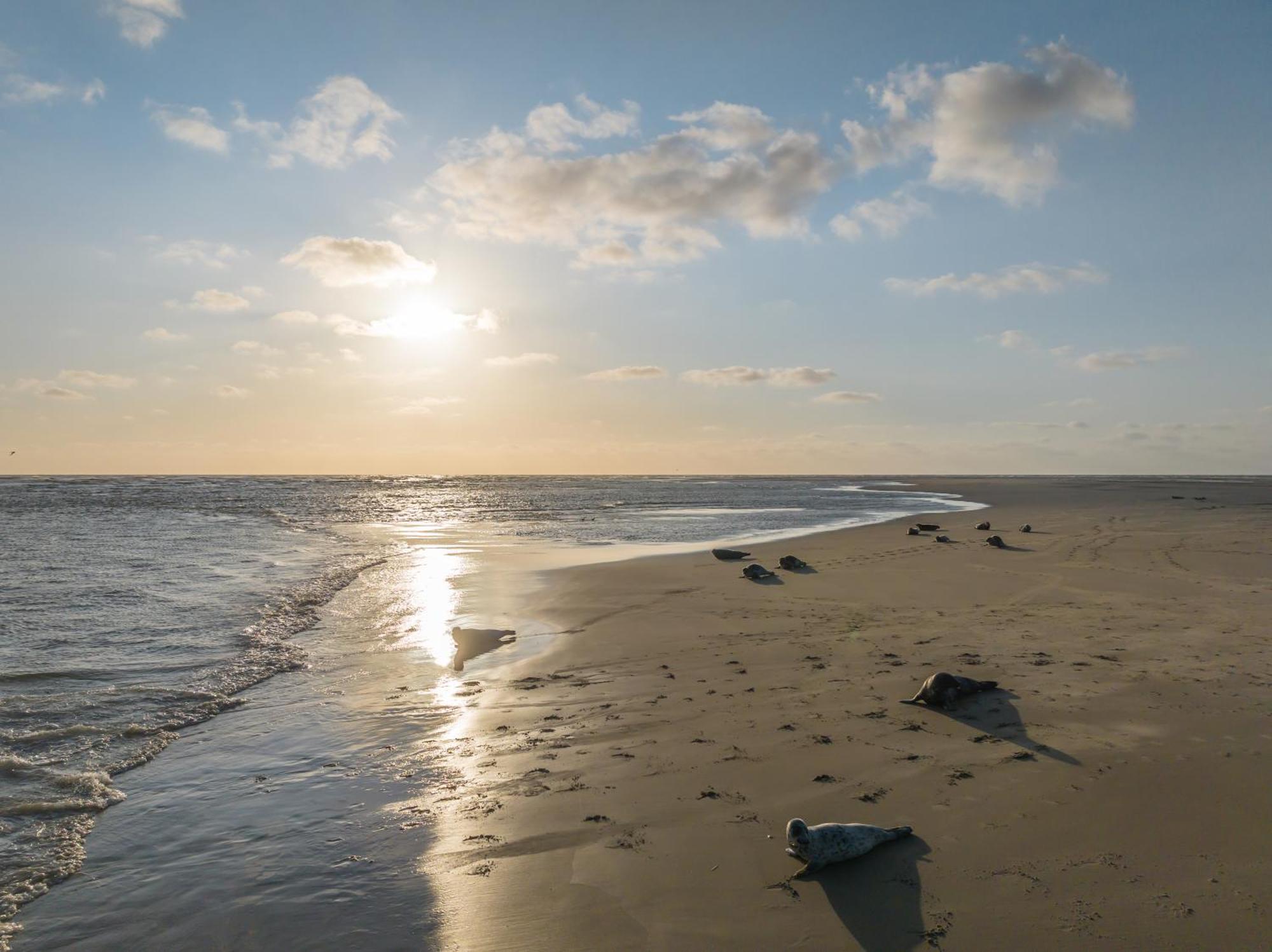 De Zeeuwse Stromen Renesse